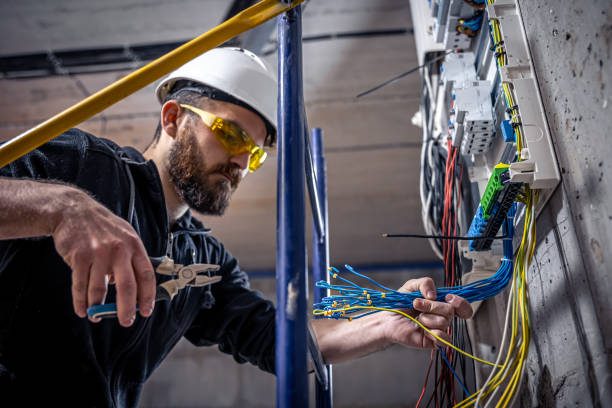 Best Electric Panel Repair  in Truman, MN