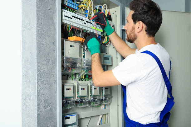 Best Home Electrical Repair  in Truman, MN