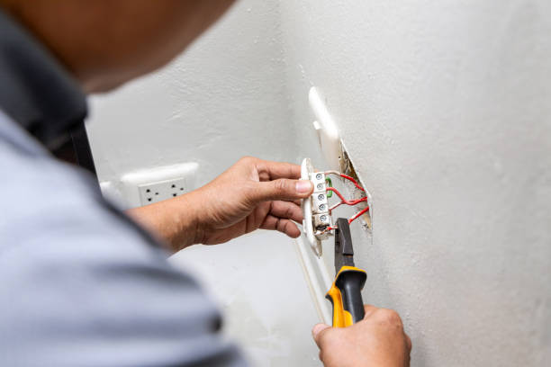 Best Electrical Outlet Repair  in Truman, MN