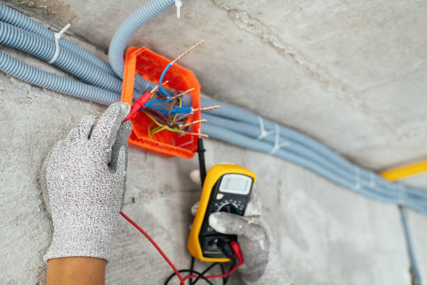 Best Affordable Electrician  in Truman, MN