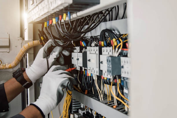 Best Home Electrical Repair  in Truman, MN